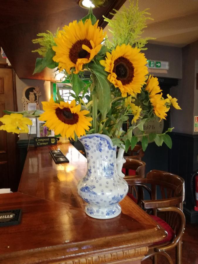 The Three Horseshoes Hotel Alton  Buitenkant foto
